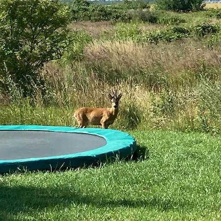 Modernes Mit Kamin, Garten Und Eigener Sauna - Meerfreude * Vaschvitz
